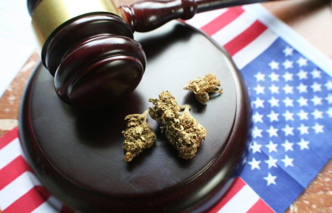 Just How Free Should the U.S. Cannabis Industry Be? Just How Free Should the U.S. Cannabis Industry Be?