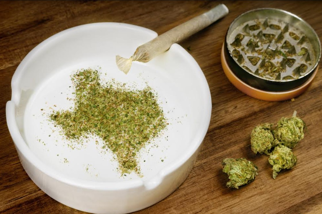 Medical Cannabis Marketing in a Pharma-Driven World Medical Cannabis Marketing in a Pharma-Driven World