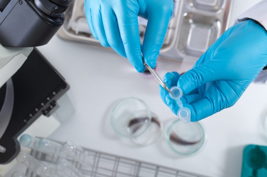 Hair Drug Testing: Myths V/s Facts Hair Drug Testing: Myths V/s Facts
